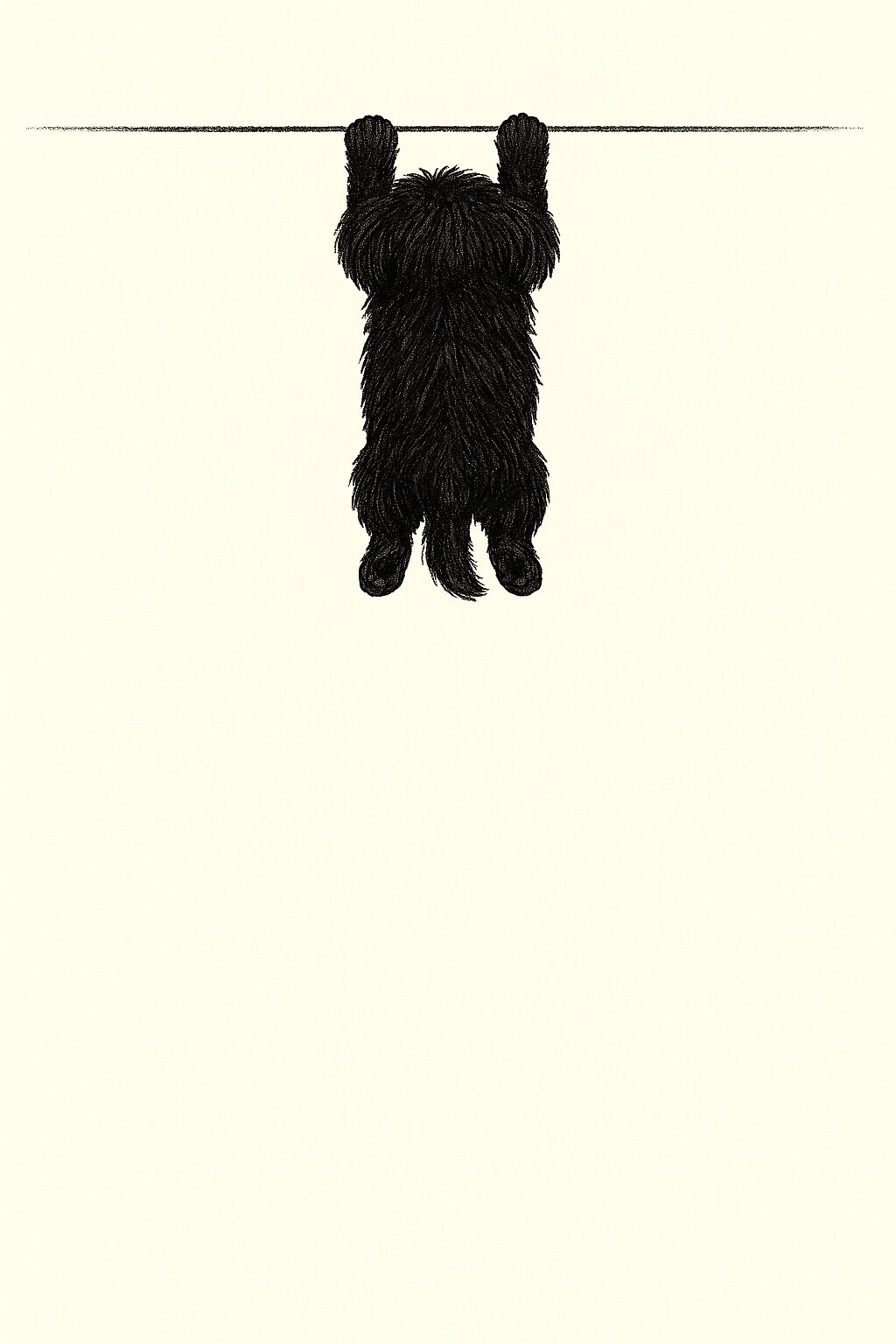 トイプードル(黒)