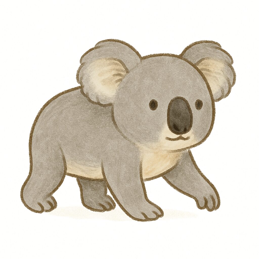コアラ　イラスト