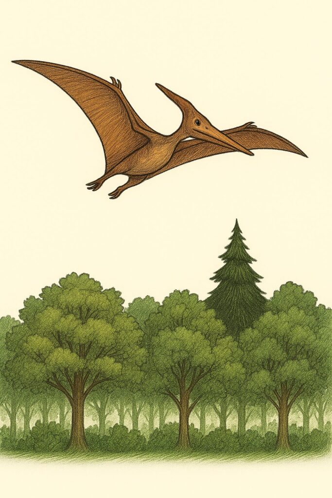 プテラノドン イラスト