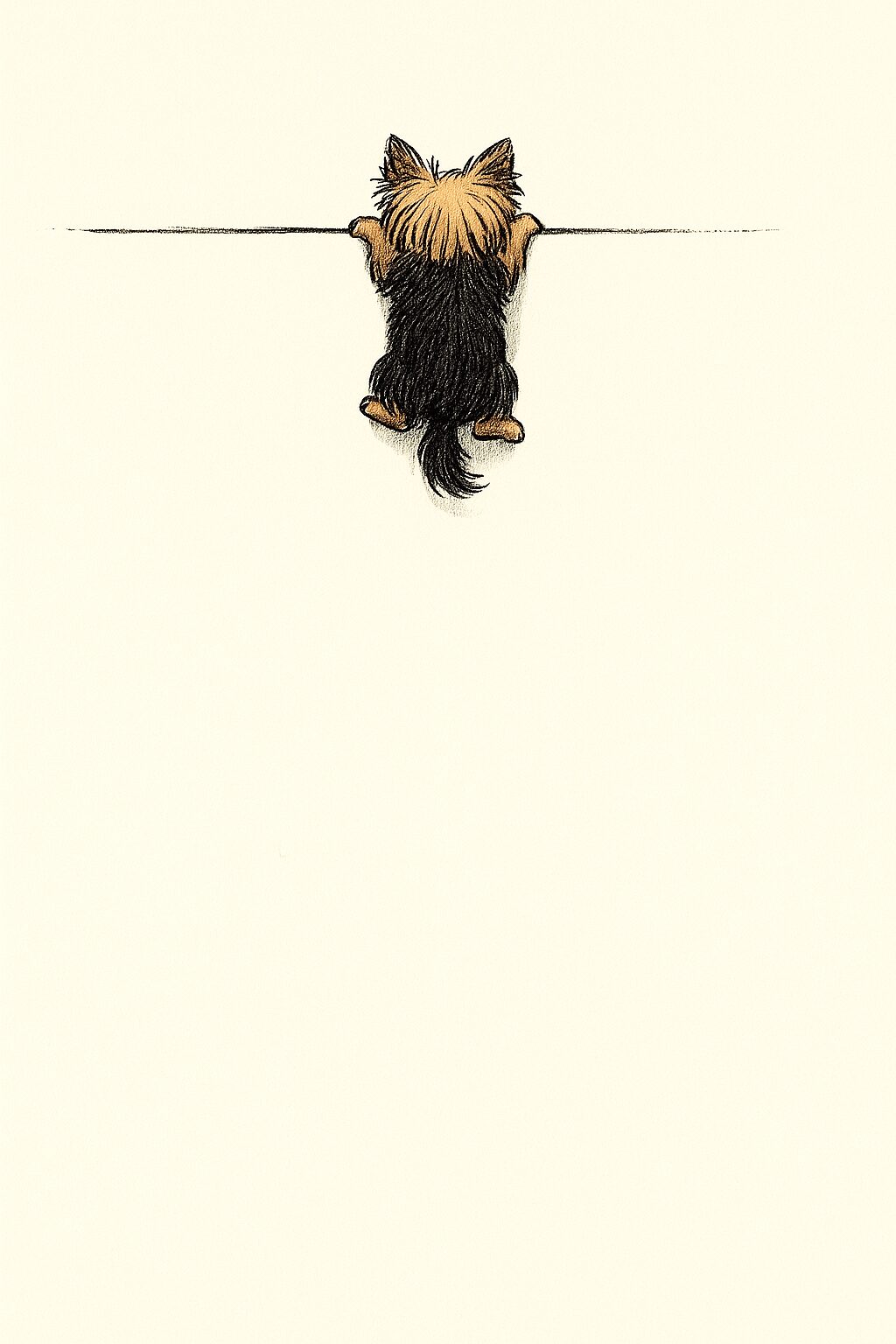 ヨークシャー・テリア