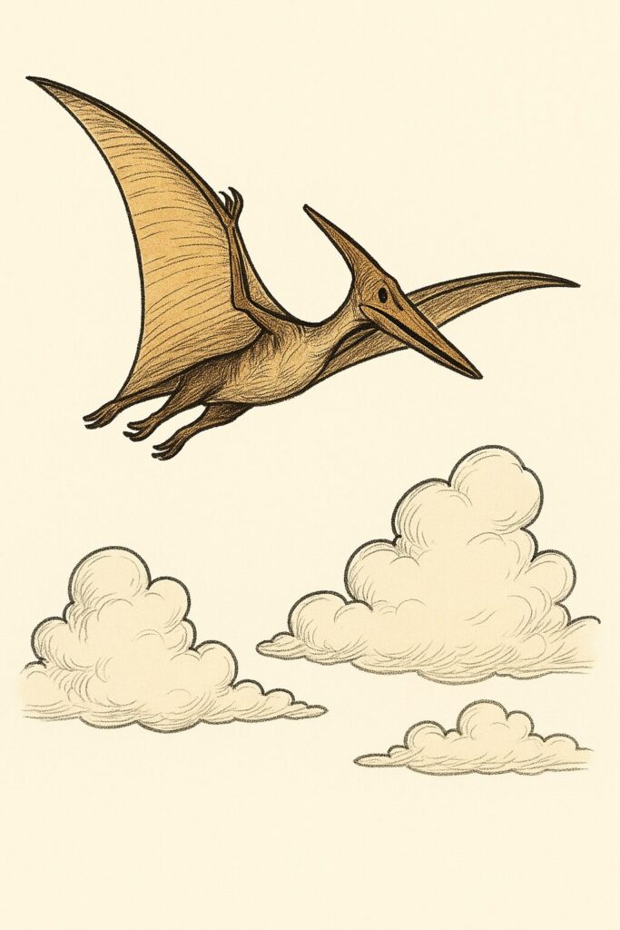 プテラノドン イラスト