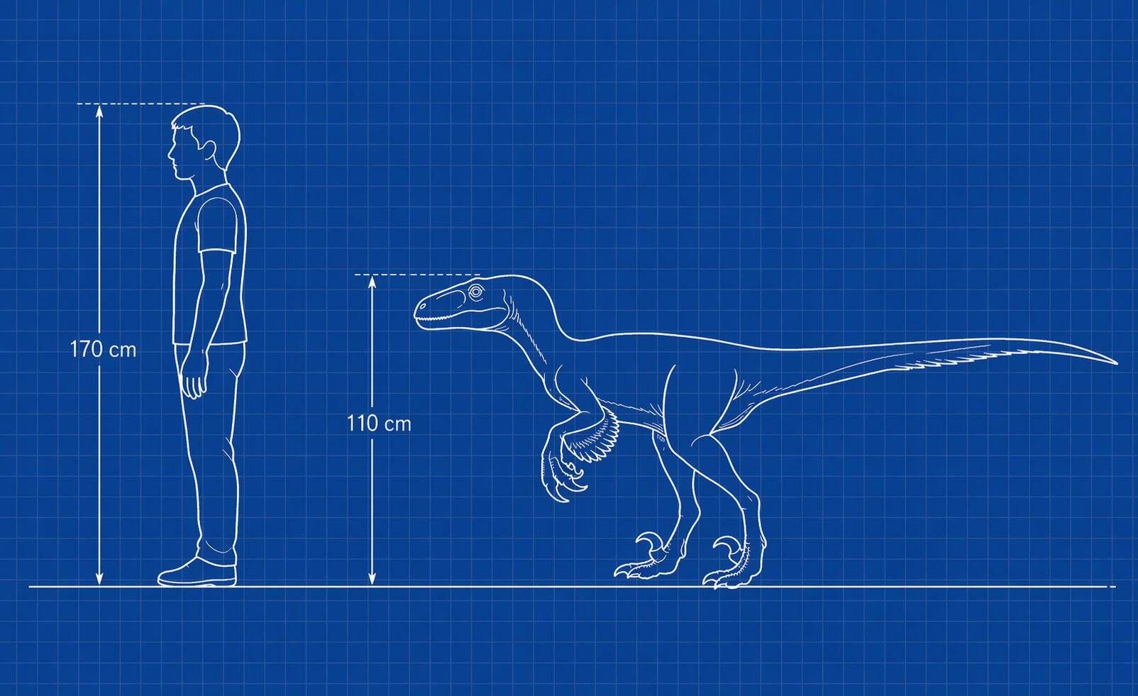 ヴェロキラプトル